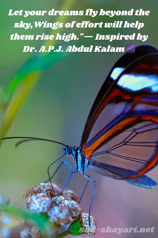 Famous Motivational Shayari in English by Great Leaders